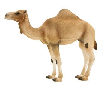 Mojo Arab teve figura