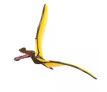 Tropeognathus L