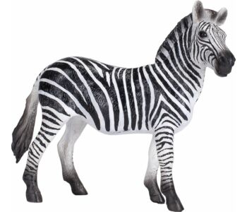 Zebra hím XL