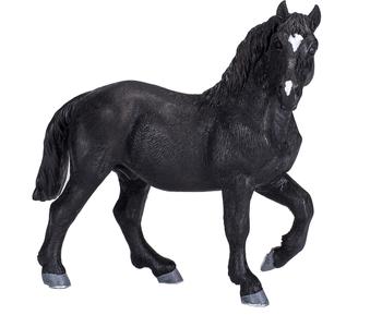 Percheron ló XL