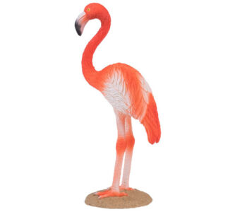 Amerikai flamingó
