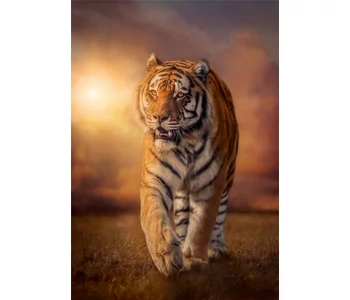 Tigris 1000 db-os puzzle - Clemetoni