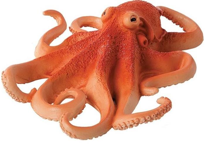 Polip XXL