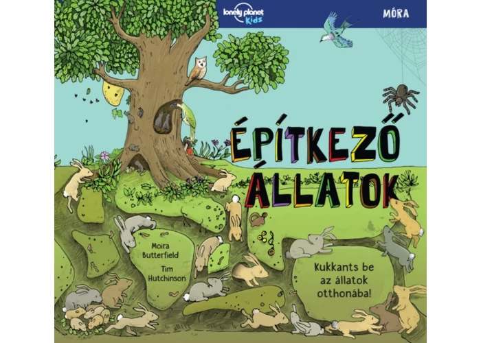 Építkező állatok - Kukkants be az állatok otthonába